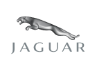 Car Logo